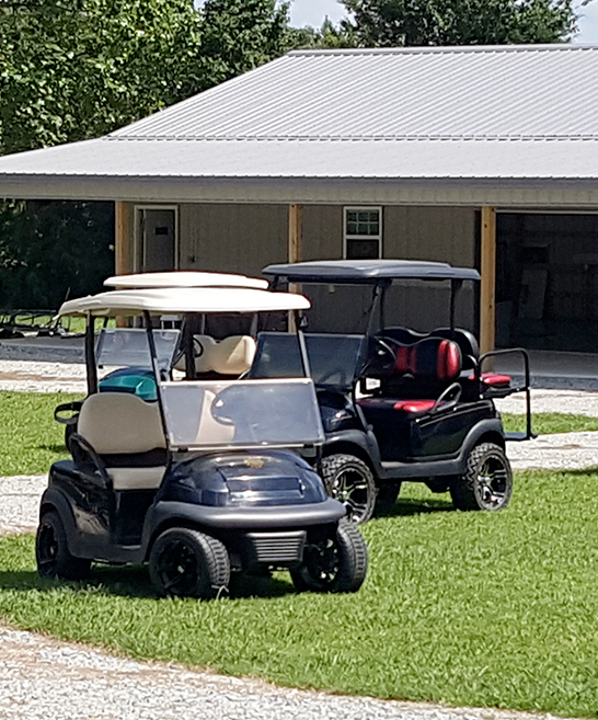 Customize your Golf Cart